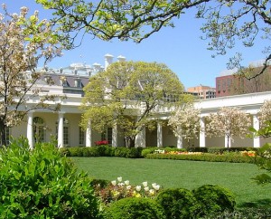 white-house-rose-garden